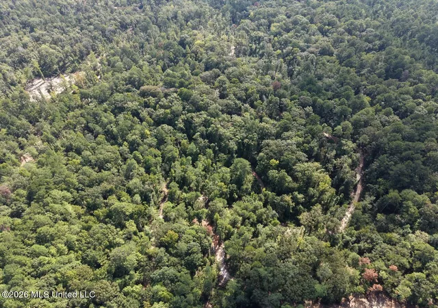 Photo 1 of Land for sale at 4 Smyrna Rd SW, Bude, MS 39630 | MLS# 4162763 | Listing updated on 2026-09-17