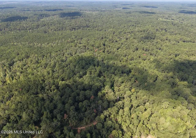 Photo 2 of Land for sale at 4 Smyrna Rd SW, Bude, MS 39630 | MLS# 4162763 | Listing updated on 2026-09-17