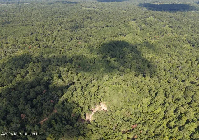 Photo 3 of Land for sale at 4 Smyrna Rd SW, Bude, MS 39630 | MLS# 4162763 | Listing updated on 2026-09-17
