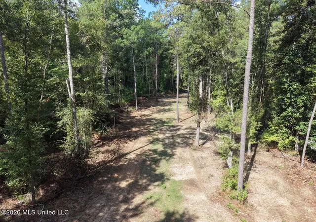 Photo 4 of Land for sale at 4 Smyrna Rd SW, Bude, MS 39630 | MLS# 4162763 | Listing updated on 2026-09-17