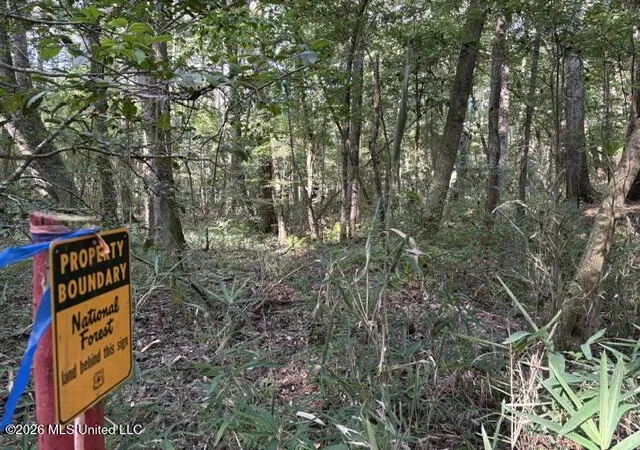 Photo 1 of Land for sale at Smith County Rd 581, Raleigh, MS 39153 | MLS# 4163328 | Listing updated on 2026-09-23