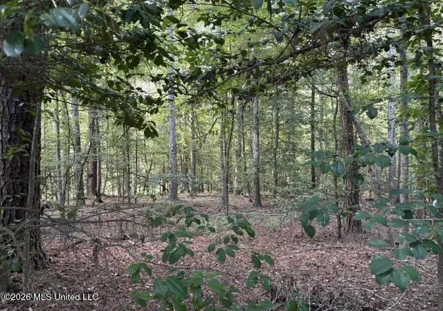 Photo 1 of Land for sale at Smith County Rd 581, Raleigh, MS 39153 | MLS# 4163328 | Listing updated on 2026-09-23