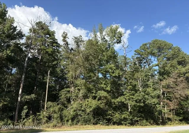 Photo 2 of Land for sale at Smith County Rd 581, Raleigh, MS 39153 | MLS# 4163328 | Listing updated on 2026-09-23