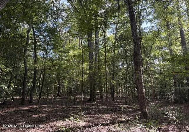 Photo 4 of Land for sale at Smith County Rd 581, Raleigh, MS 39153 | MLS# 4163328 | Listing updated on 2026-09-23