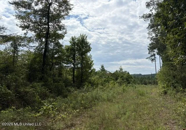 Photo 2 of Land for sale at Scr 581, Raleigh, MS 39153 | MLS# 4163326 | Listing updated on 2026-09-23