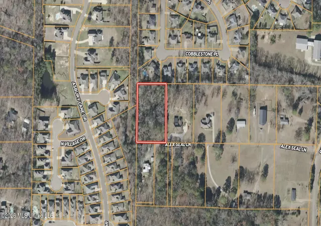 Photo 1 of Sale Pending at 132 Alex Seals Ln, Brandon, MS 39042 | MLS# 4162905 | Listing updated on 2026-09-28