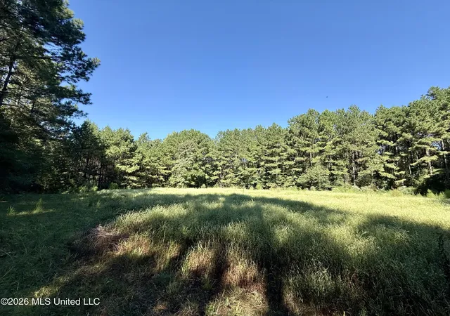 Land for sale at Burt Jordan Rd, Smithdale, MS 39664 | MLS# 4162984