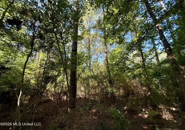Land for sale at Dogwood Ln SE, Smithdale, MS 39664 | MLS# 4162985