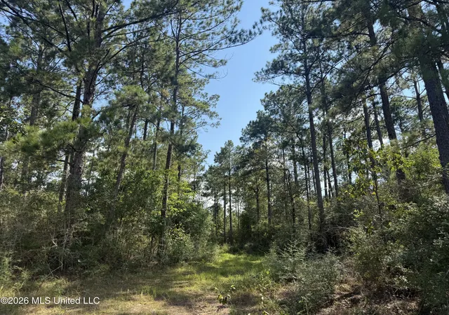 Photo 3 of Sale Pending at Merritt Rd, Leakesville, MS 39451 | MLS# 4163064 | Listing updated on 2026-10-15