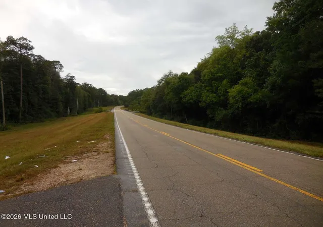 Land for sale at S Hwy 13 Lumberton,ms 39455, Lumberton, MS 39455 | MLS# 4163125