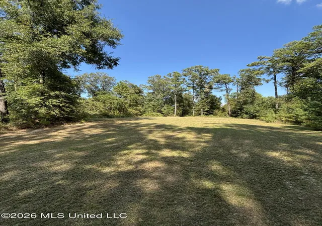 Photo 2 of Land for sale at Tinsley Rd, Bentonia, MS 39040 | MLS# 4163133 | Listing updated on 2026-09-25