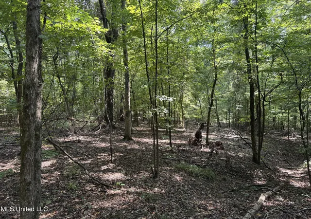 Photo 2 of Sale Pending at 0001 Old Dover Rd, Yazoo City, MS 39194 | MLS# 4163151 | Listing updated on 2026-09-29