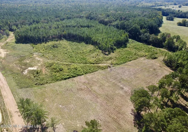 Photo 3 of Land for sale at Lot 2 Sulphur Springs Rd, Canton, MS 39046 | MLS# 4163612 | Listing updated on 2026-10-26