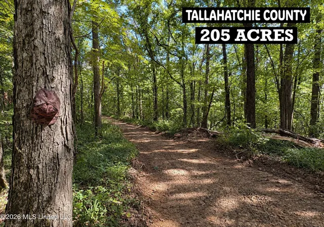 Photo 1 of Land for sale at 173 Cascilla Rd, Holcomb, MS 38940 | MLS# 4163360 | Listing updated on 2026-09-23