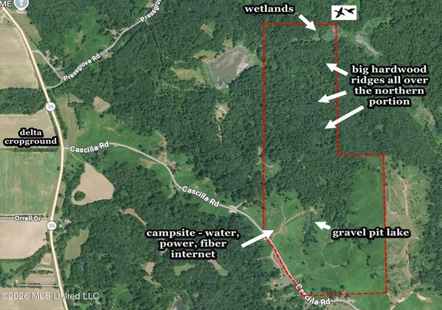 Photo 3 of Land for sale at 173 Cascilla Rd, Holcomb, MS 38940 | MLS# 4163360 | Listing updated on 2026-09-23