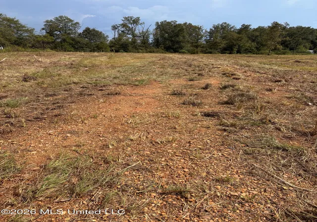 Photo 3 of Sale Pending at 3170 Bahalia Rd, Wesson, MS 39191 | MLS# 4163373 | Listing updated on 2026-10-01