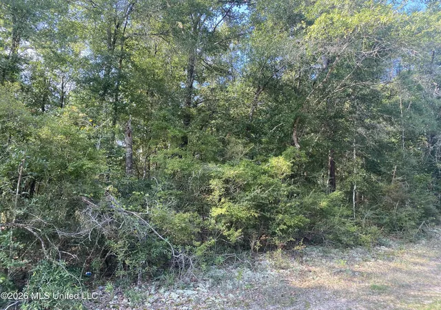 Photo 2 of Land for sale at Grady Diamond Rd, Perkinston, MS 39573 | MLS# 4163473 | Listing updated on 2026-09-24
