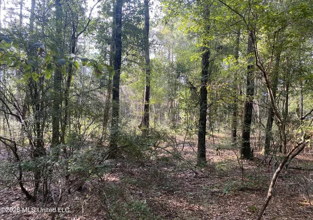 Photo 3 of Land for sale at Grady Diamond Rd, Perkinston, MS 39573 | MLS# 4163473 | Listing updated on 2026-09-24
