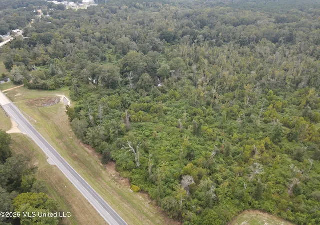 Photo 3 of Land for sale at Bogue Chitto Rd, Bogue Chitto, MS 39629 | MLS# 4163449 | Listing updated on 2026-09-24