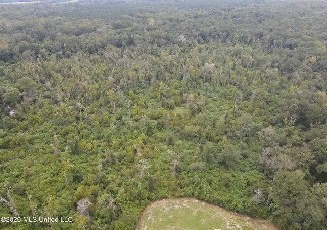 Photo 3 of Land for sale at Bogue Chitto Rd, Bogue Chitto, MS 39629 | MLS# 4163449 | Listing updated on 2026-09-24