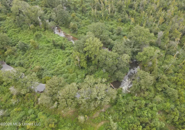 Photo 4 of Land for sale at Bogue Chitto Rd, Bogue Chitto, MS 39629 | MLS# 4163449 | Listing updated on 2026-09-24
