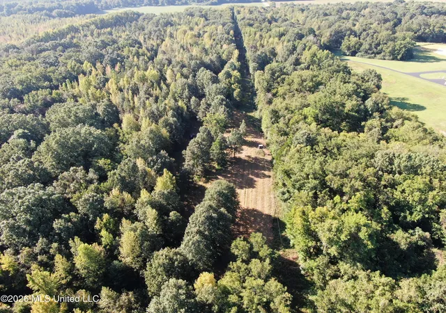 Photo 1 of Sale Pending at 390 Old Panola Rd, Sardis, MS 38666 | MLS# 4163482 | Listing updated on 2026-09-25