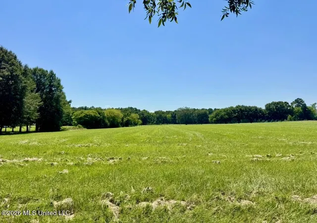 Land for sale at 000001 Green Acres Dr, Canton, MS 39046 | MLS# 4163515
