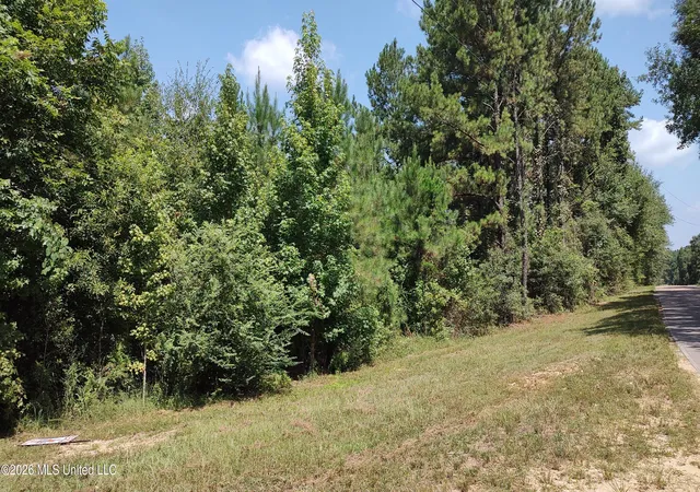 Photo 1 of Sale Pending at Worth Nall Rd, Lumberton, MS 39455 | MLS# 4163500 | Listing updated on 2026-09-26
