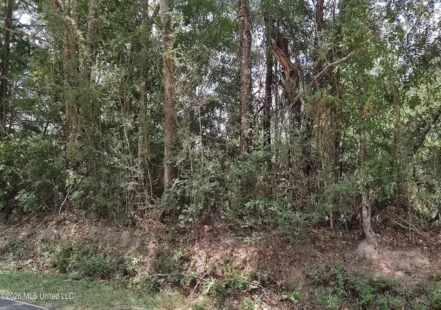 Photo 3 of Sale Pending at Worth Nall Rd, Lumberton, MS 39455 | MLS# 4163500 | Listing updated on 2026-09-26