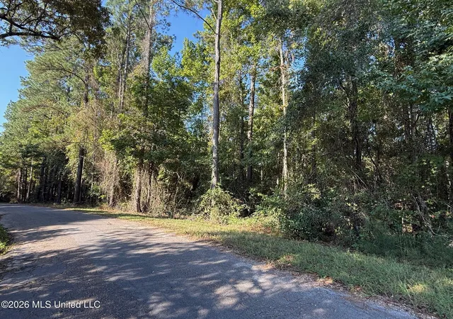 Photo 2 of Land for sale at 7 +/  Ac Frk Rd, Lucedale, MS 39452 | MLS# 4163639 | Listing updated on 2026-09-25