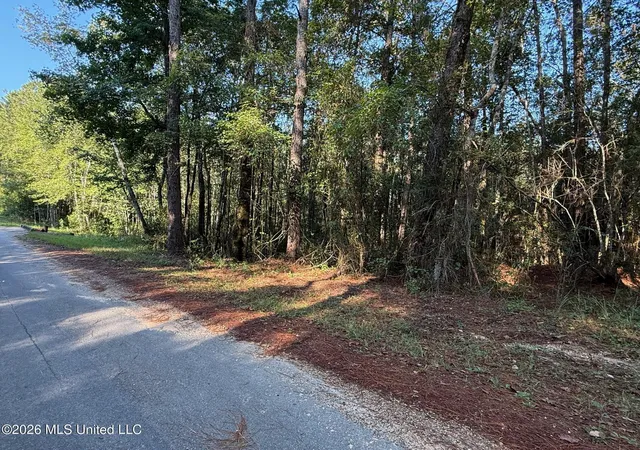 Photo 3 of Land for sale at 7 +/  Ac Frk Rd, Lucedale, MS 39452 | MLS# 4163639 | Listing updated on 2026-09-25