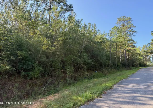 Photo 1 of Land for sale at 9 +/  Ac Frk Rd, Lucedale, MS 39452 | MLS# 4163664 | Listing updated on 2026-09-25