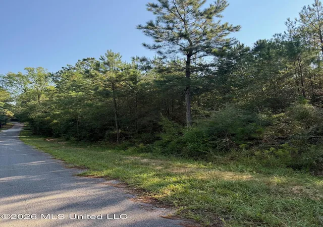 Photo 2 of Land for sale at 9 +/  Ac Frk Rd, Lucedale, MS 39452 | MLS# 4163664 | Listing updated on 2026-09-25