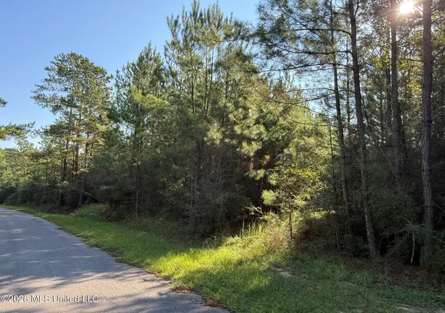 Photo 3 of Land for sale at 9 +/  Ac Frk Rd, Lucedale, MS 39452 | MLS# 4163664 | Listing updated on 2026-09-25
