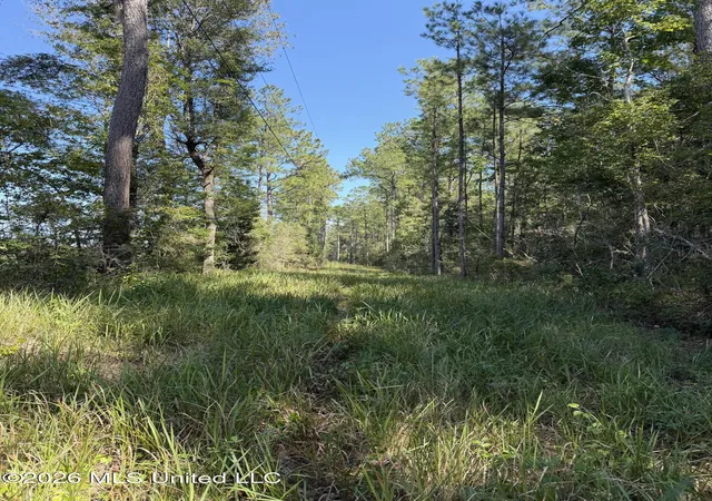 Photo 1 of Sale Pending at 60 Acres Firth Littlefield Rd, Lucedale, MS 39452 | MLS# 4163760 | Listing updated on 2026-09-29