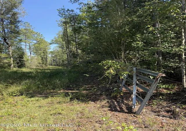 Photo 2 of Sale Pending at 60 Acres Firth Littlefield Rd, Lucedale, MS 39452 | MLS# 4163760 | Listing updated on 2026-09-29