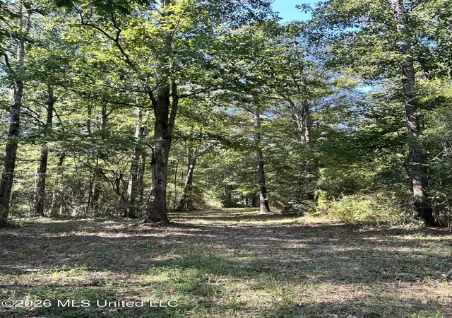 Land for sale at Dickey Mills Rd, Magnolia, MS 39652 | MLS# 4163856
