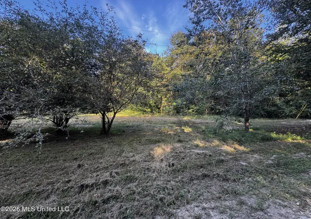 Photo 2 of Land for sale at 650 Liberty Rd, Picayune, MS 39466 | MLS# 4163863 | Listing updated on 2026-09-28