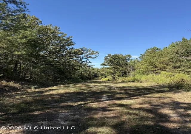Photo 1 of Land for sale at Old 51 Rd, Pickens, MS 39146 | MLS# 4164172 | Listing updated on 2026-10-02