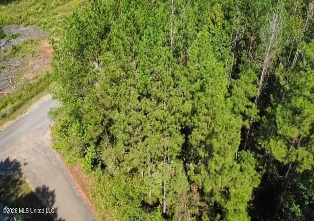Land for sale at 5464b Pecan Orchard Rd, Liberty, MS 39645 | MLS# 4163909