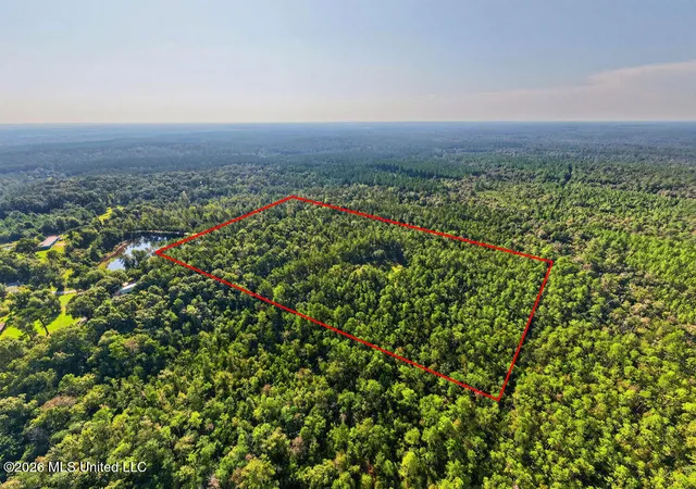 Photo 1 of Sale Pending at 17 +/  Ac Burnis Havard Rd, Perkinston, MS 39573 | MLS# 4163923 | Listing updated on 2026-10-15