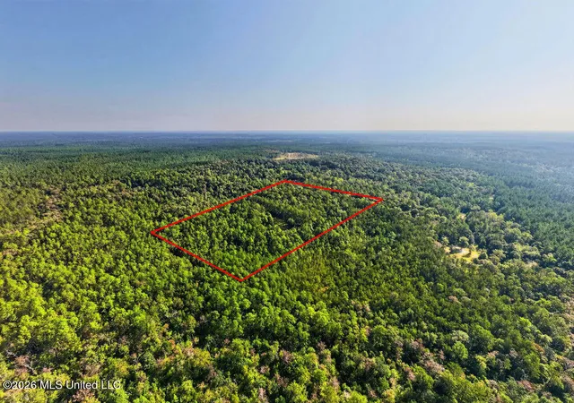 Photo 3 of Sale Pending at 17 +/  Ac Burnis Havard Rd, Perkinston, MS 39573 | MLS# 4163923 | Listing updated on 2026-10-15