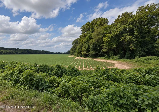 Photo 1 of Sale Pending at 50 Ac Old Panola Rd, Sardis, MS 38666 | MLS# 4163954 | Listing updated on 2026-09-30