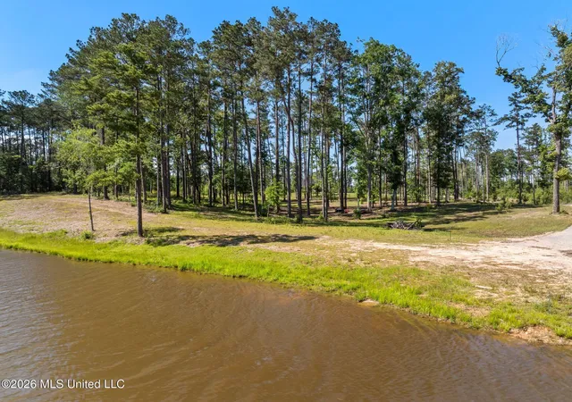 Photo 1 of Land for sale at 405 Acres Placid Dr, Sumrall, MS 39482 | MLS# 4164692 | Listing updated on 2026-10-06