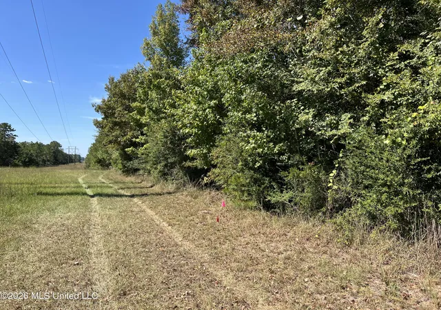 Photo 1 of Land for sale at Matthews Rd, Tylertown, MS 39667 | MLS# 4163995 | Listing updated on 2026-09-30