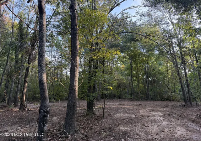 Photo 1 of Sale Pending at 0 Judkins Rd, Yazoo City, MS 39194 | MLS# 4164073 | Listing updated on 2026-10-03