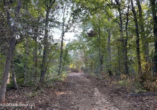 Photo 3 of Sale Pending at 0 Judkins Rd, Yazoo City, MS 39194 | MLS# 4164073 | Listing updated on 2026-10-03