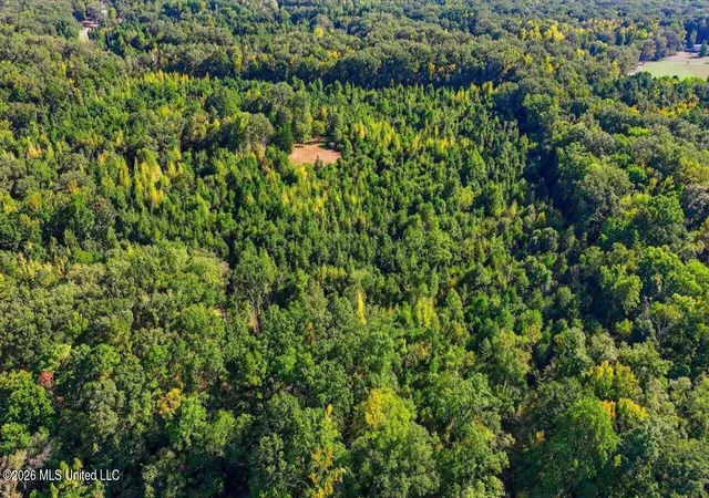 Photo 1 of Land for sale at Springridge Rd, Raymond, MS 39154 | MLS# 4164157 | Listing updated on 2026-10-01