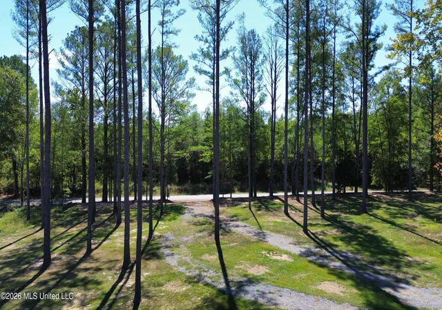 Photo 4 of Single family home for sale at 2560 Battle Blf Rd, Carthage, MS 39051 | MLS# 4164208 | Listing updated on 2026-10-12
