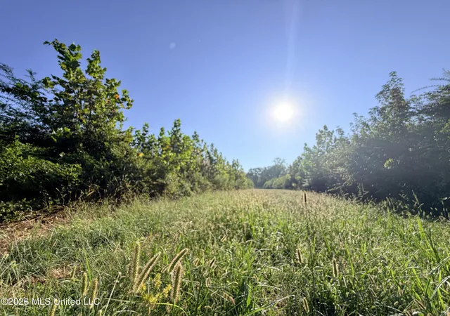 Photo 3 of Land for sale at 1 Butler Rd, Vaughan, MS 39179 | MLS# 4164242 | Listing updated on 2026-10-01